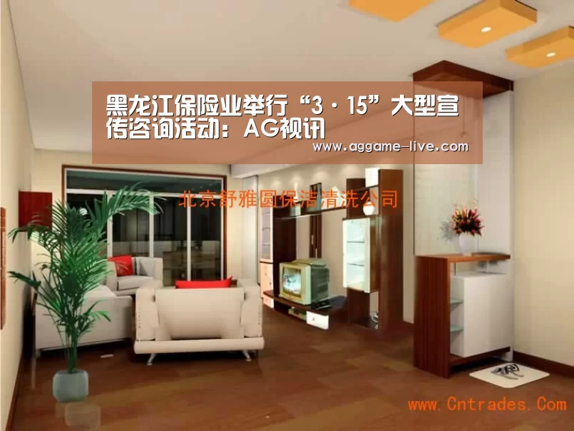 黑龙江保险业举行“3·15”大型宣传咨询活动:AG视讯(图3) AG地址