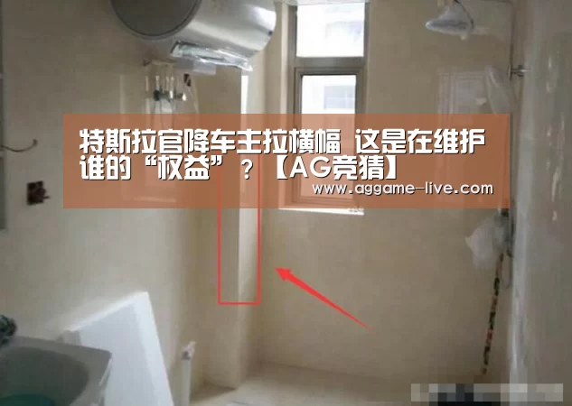 特斯拉官降车主拉横幅 这是在维护谁的“权益”?【AG竞猜】(图1) AG视讯