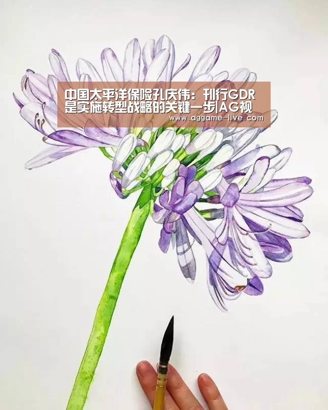 中国太平洋保险孔庆伟:刊行GDR是实施转型战略的关键一步|AG视讯(图4) AG地址
