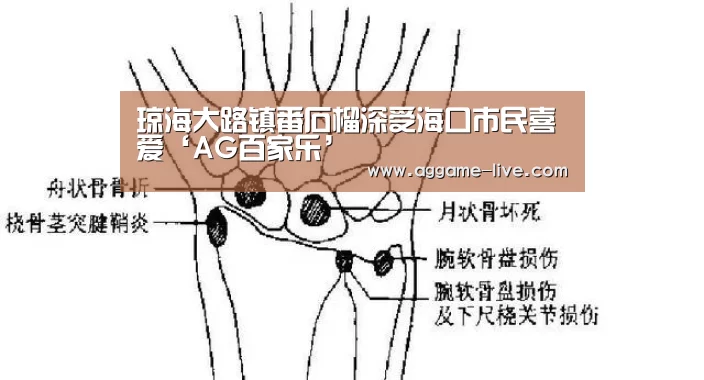AG竞猜