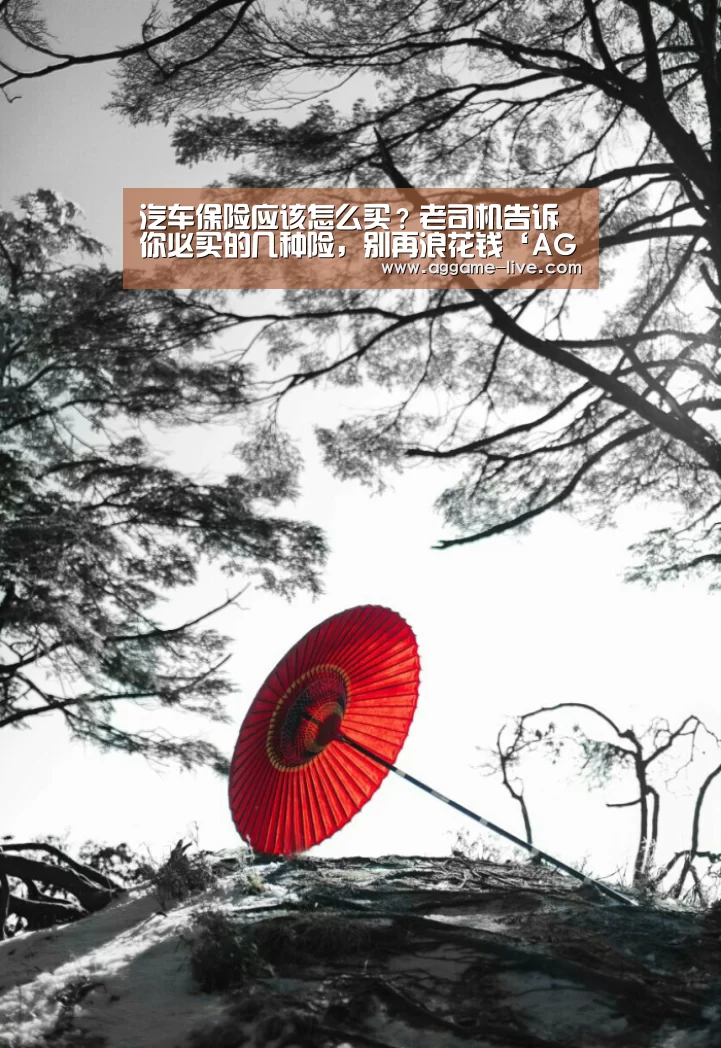 AG地址