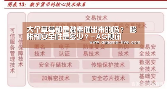 大个草莓都是激素催出来的吗? 膨胀剂安全性是多少?-AG视讯(图4) AG竞猜