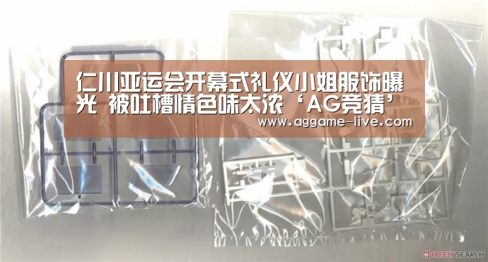 仁川亚运会开幕式礼仪小姐服饰曝光 被吐槽情色味太浓‘AG竞猜’(图3) AG竞猜