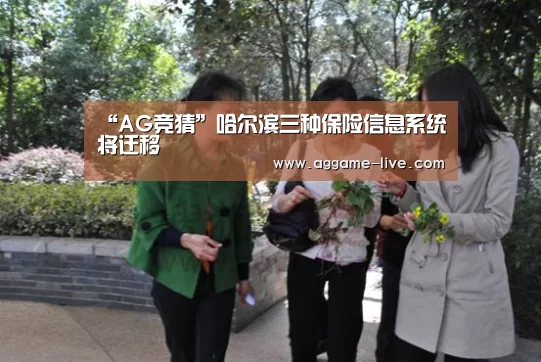 “AG竞猜”哈尔滨三种保险信息系统将迁移(图1) AG百家乐