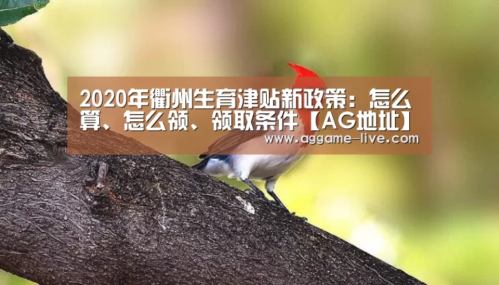 AG百家乐