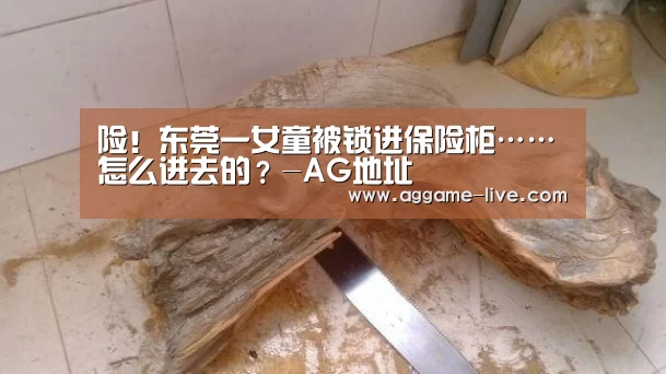 险!东莞一女童被锁进保险柜……怎么进去的?-AG地址(图2) AG地址