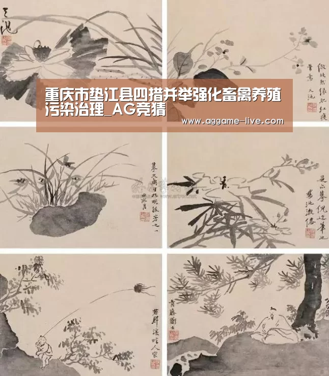 AG视讯