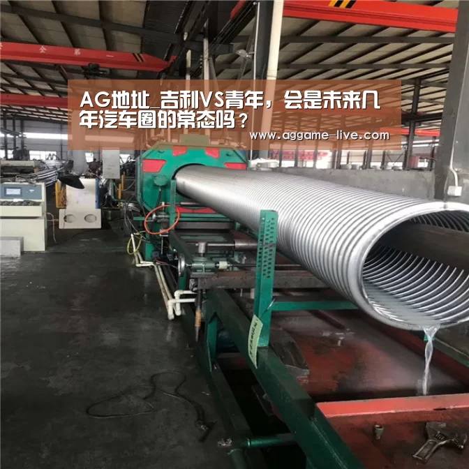 AG地址_吉利VS青年,会是未来几年汽车圈的常态吗?(图2) AG百家乐