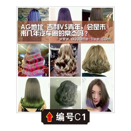 AG地址_吉利VS青年,会是未来几年汽车圈的常态吗?(图4) AG视讯