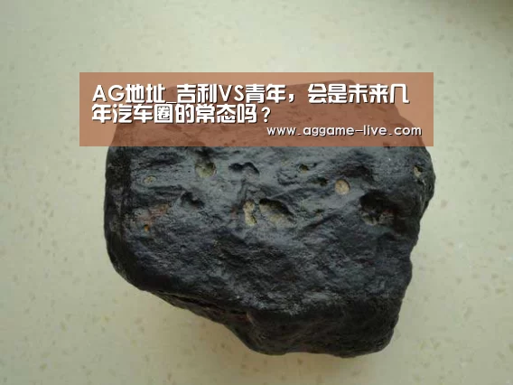 AG地址_吉利VS青年,会是未来几年汽车圈的常态吗?(图3) AG视讯