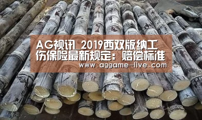 AG视讯_2019西双版纳工伤保险最新规定:赔偿标准、范围、流程(图2) AG百家乐