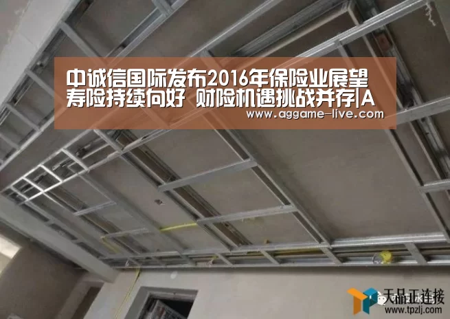 中诚信国际发布2016年保险业展望 寿险持续向好 财险机遇挑战并存|AG百家乐(图3) AG视讯