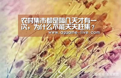 农村集市都是隔几天才有一次,为什么不能天天赶集?-AG视讯(图1) AG竞猜